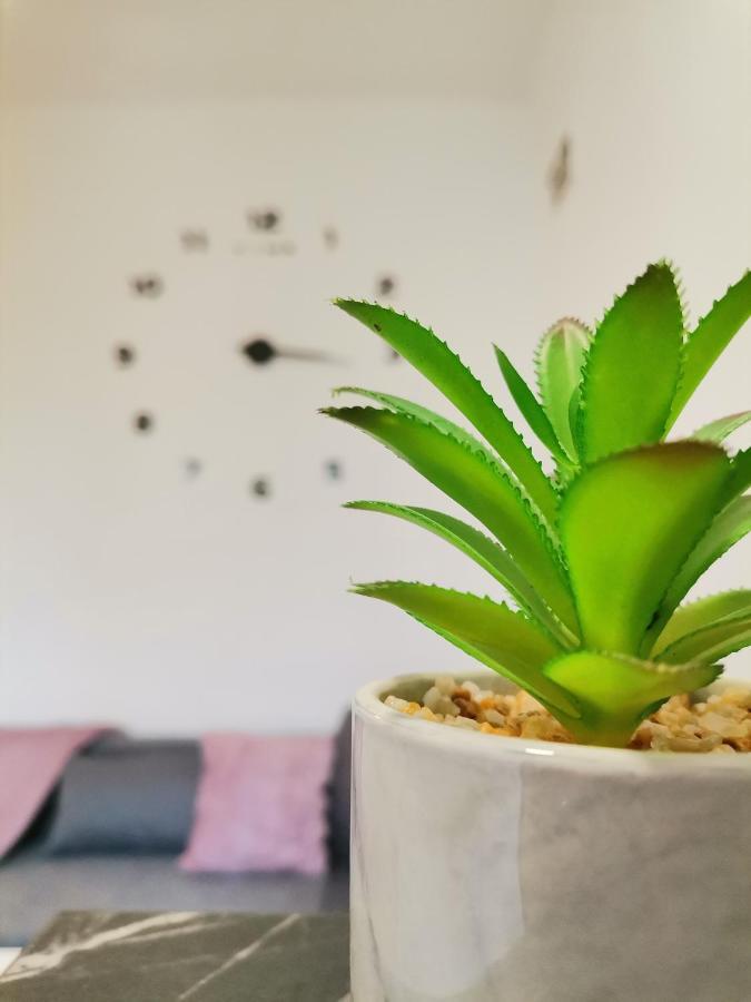 Apartman Maki Сомбор Екстериор снимка